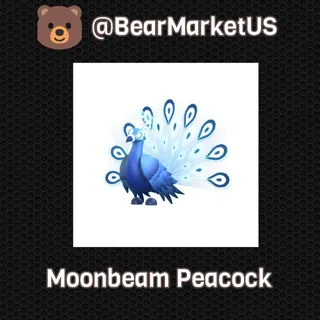 Moonbeam Peacock