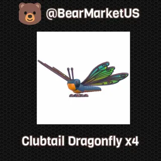 Clubtail Dragonfly x4