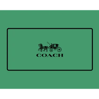 $25.00 USD Coach Outlet Gift Card 