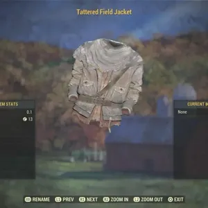 Tattered Field Jacket