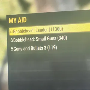 11300 Leader Bobbles