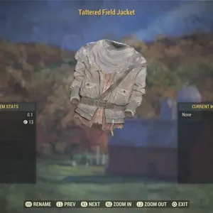 Tattered Field Jacket