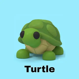 Turtle