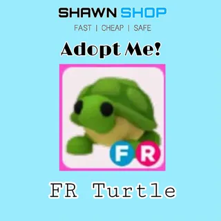 FR Turtle