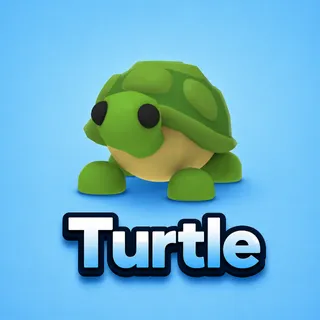 Turtle