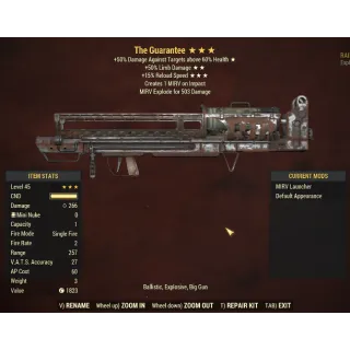 The Guarantee(Survival Weapon)