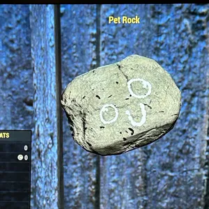 Pet Rock