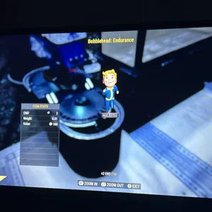 100 endurance Bobblehead