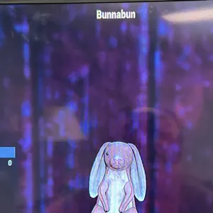 5x Bunnban