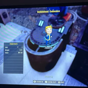 100 endurance bobblehead