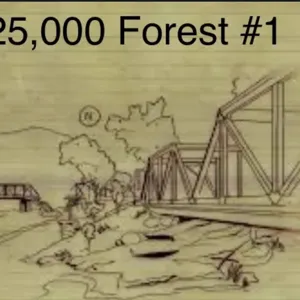 25000 Forest maps #1