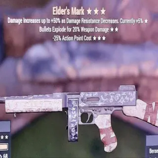 Weapon | BER-E-25 Elders Mark