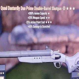 Weapon | Q-25-25 Double Barrel