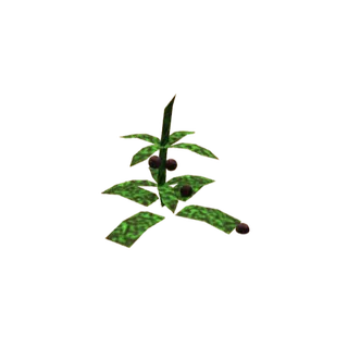 DogbaneHerb | Bridger: Western | X10 | Deliver 20 In Minutes
