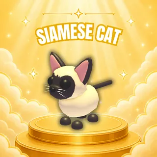 SIAMESE CAT