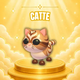 CATTE