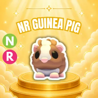 NEON RIDE CHOCOLATE DUTCH GUINEA PIG