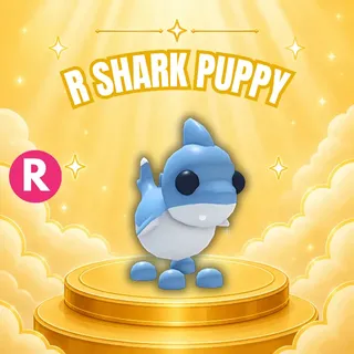 RIDE SHARK PUPPY