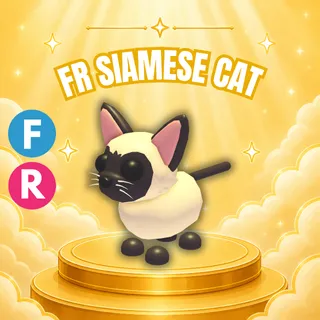 FLY RIDE SIAMESE CAT