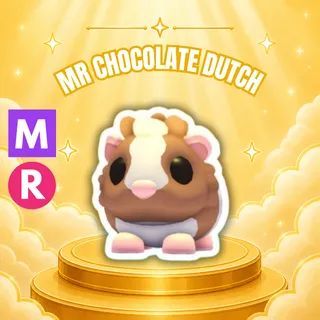 MEGA RIDE CHOCOLATE DUTCH GUINEA PIG