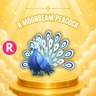 RIDE MOONBEAM PEACOCK