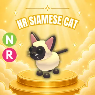 NEON RIDE SIAMESE CAT (CHEAP)