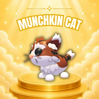 MUNCHKIN CAT