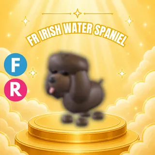 FLY RIDE IRISH WATER SPANIEL