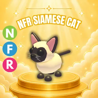 NEON FLY RIDE SIAMESE CAT