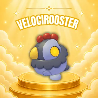 VELOCIROOSTER