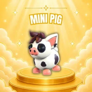 MINI PIG