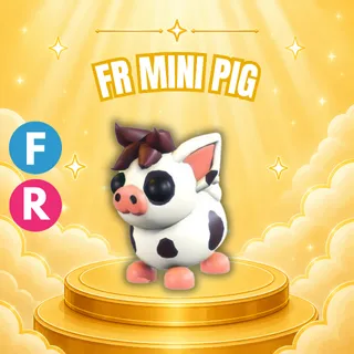 FLY RIDE MINI PIG