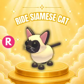 RIDE SIAMESE CAT
