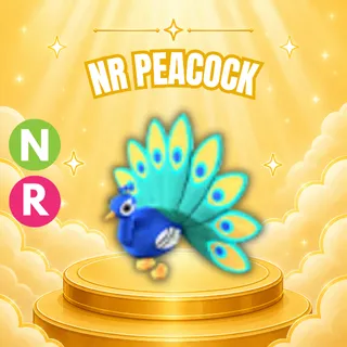 NEON RIDE PEACOCK