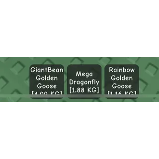 2x golden goose and mega dragonfly