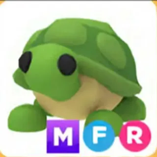 MFR Turtle