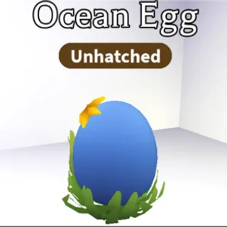 Ocean eggs x 19