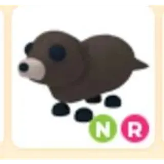 NR Otter