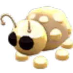 Golden Ladybug