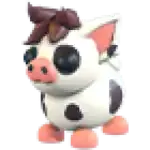 Mini Pig