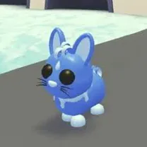 1x Water Rabbit