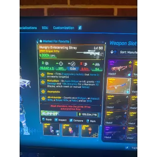 Borderlands 4 modded stray 