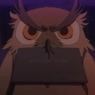 Owl