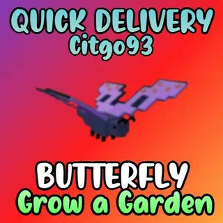 Butterfly
