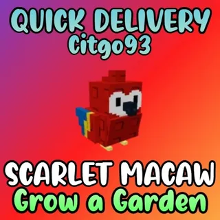 scarlet macaw