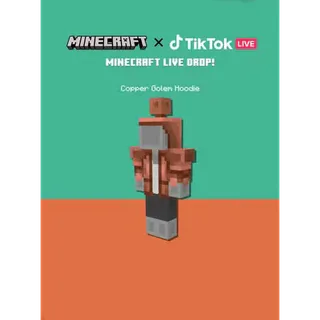 Minecraft Copper Core