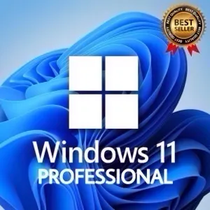 Windows 11 PRO