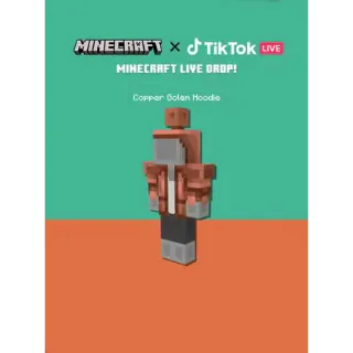 Minecraft Copper Core