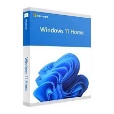 Windows 11