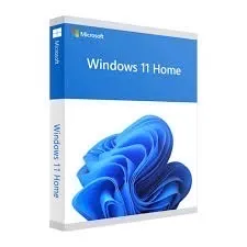 Windows 11